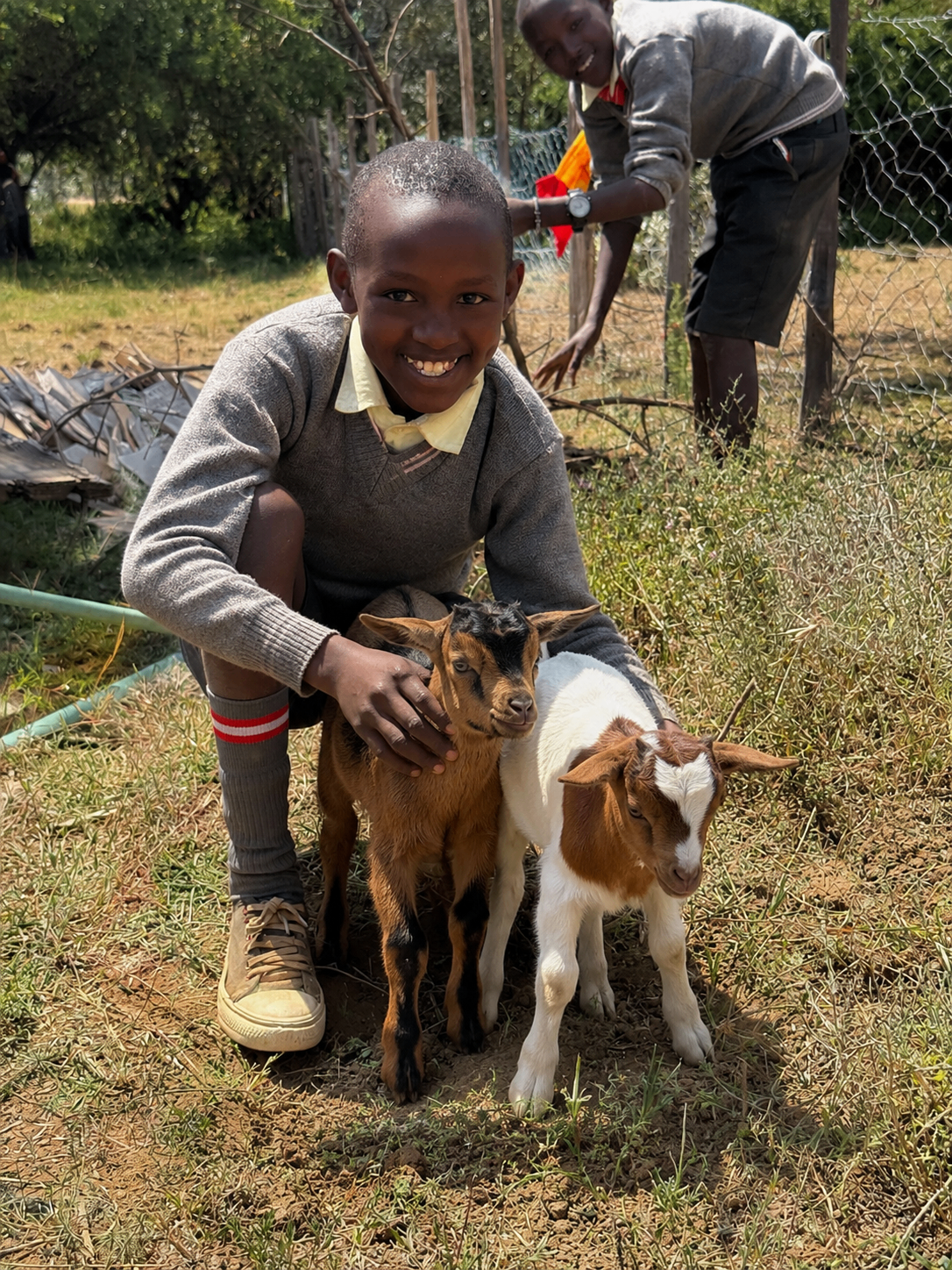 A smiling Kenyan boy crouching with two young goats